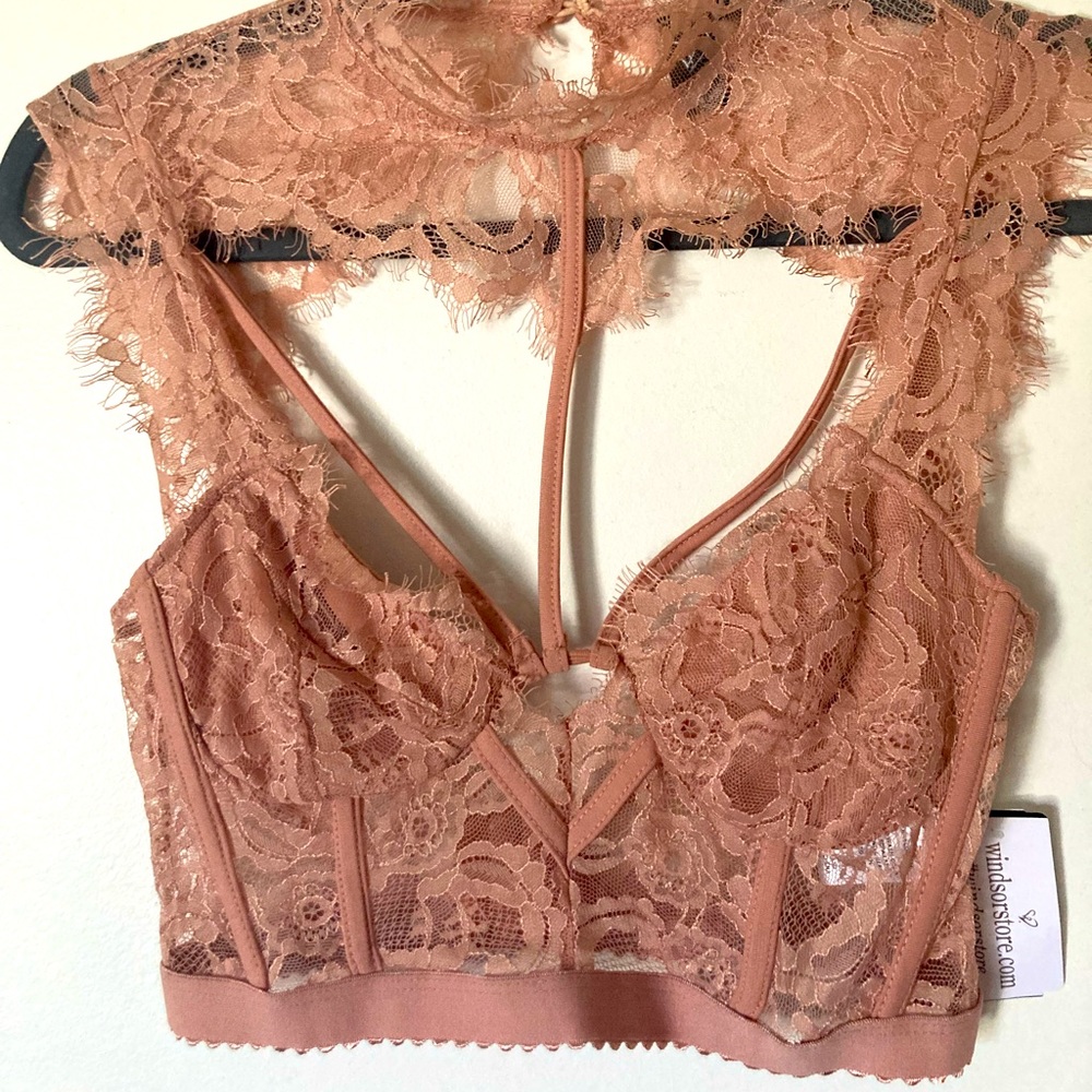 Blush Lace Top. Medium. Never worn from Windsor still has tags.
